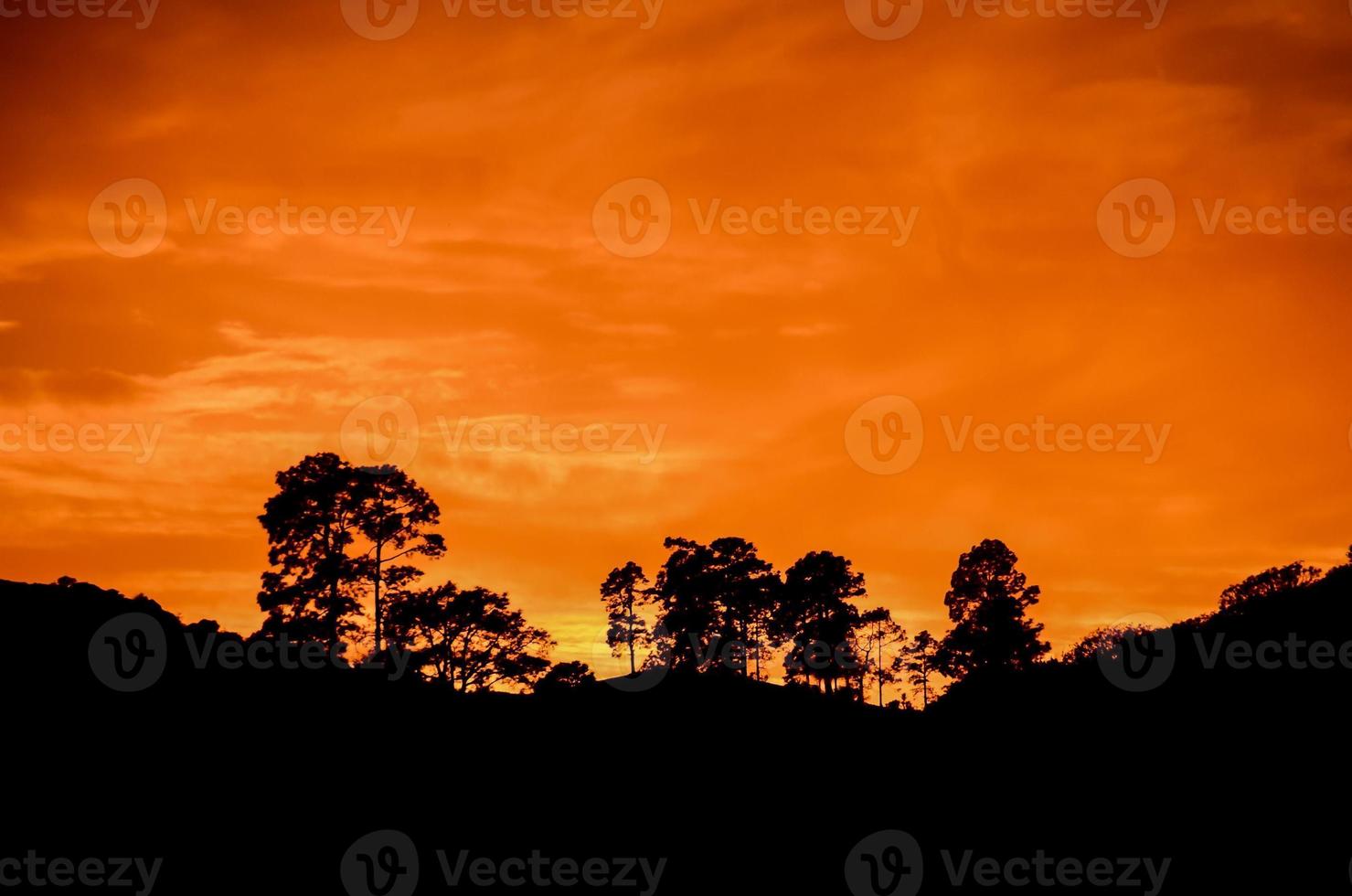 vue panoramique sur les montagnes photo