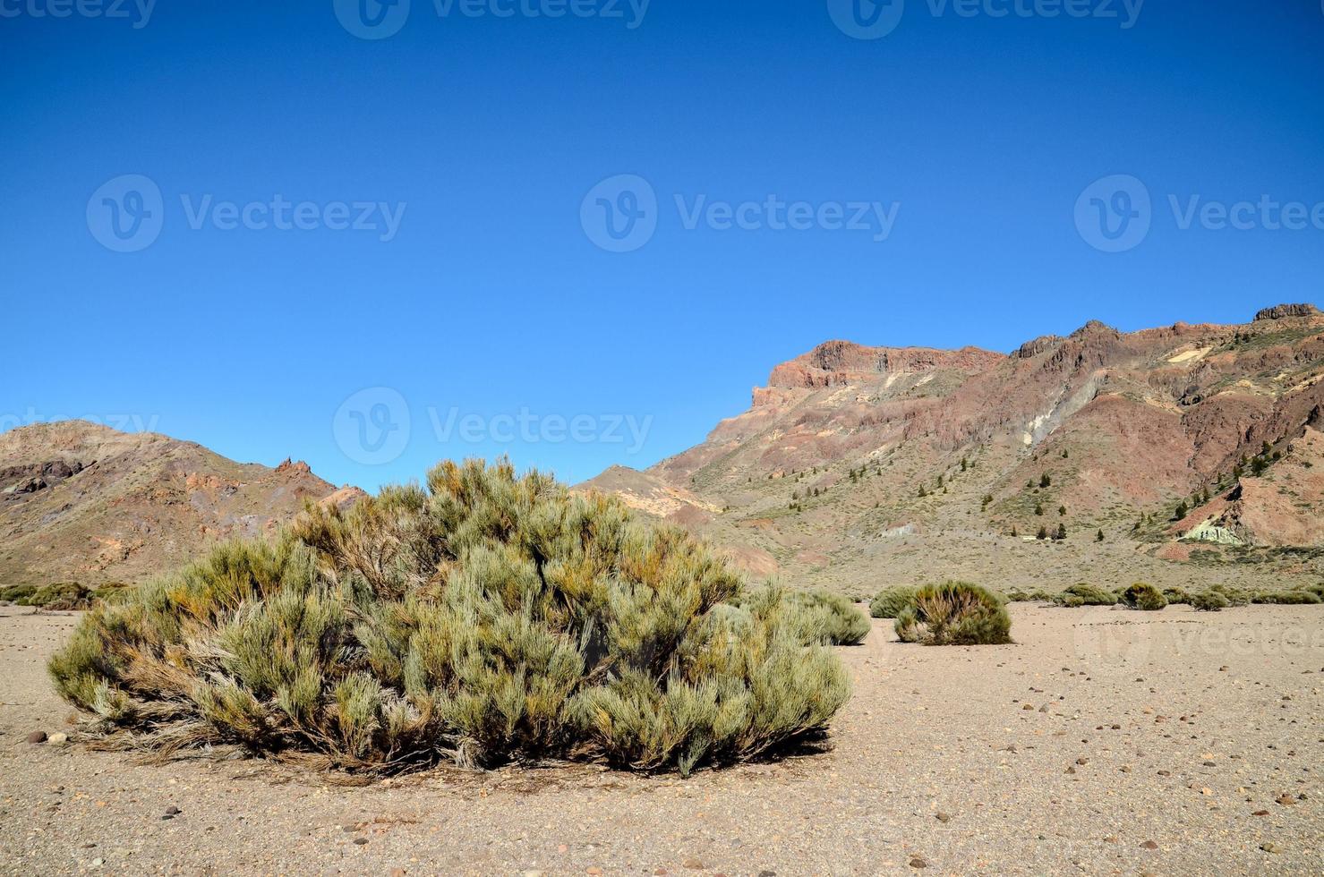 vue panoramique sur les montagnes photo