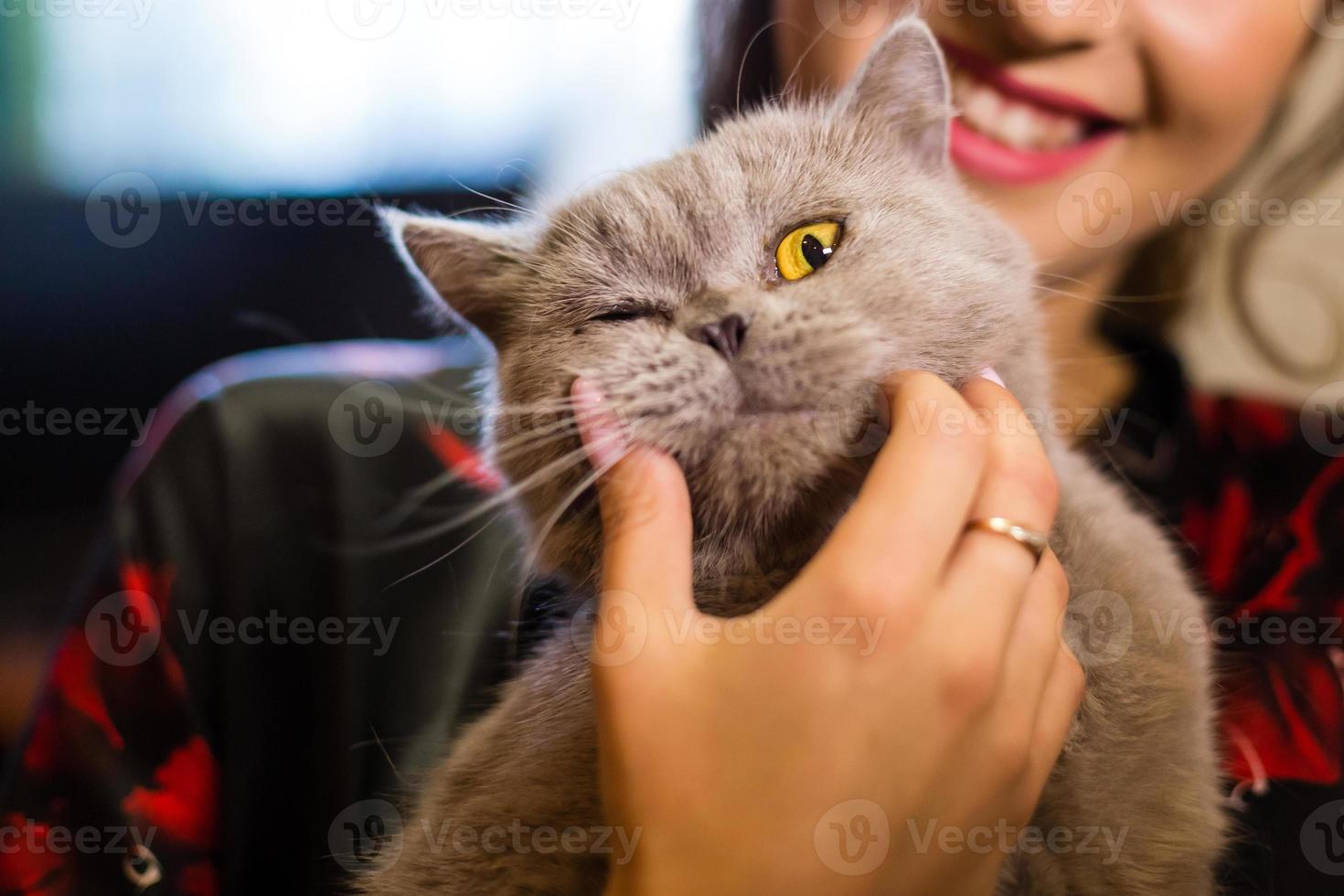 portrait en gros plan d'une belle fille aux yeux verts tenant un chat britannique photo