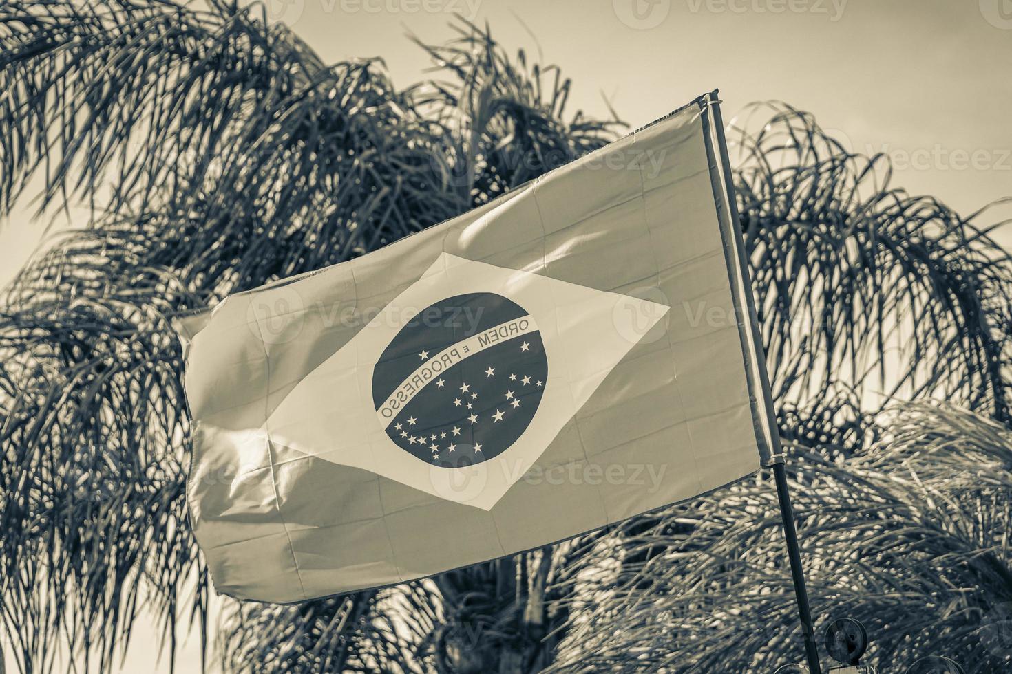 drapeau brésilien avec palmiers et fond de ciel bleu brésil. photo