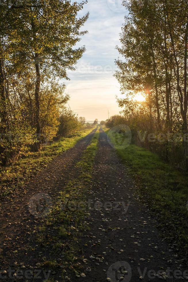 route rurale parmi les arbres sur fond de ciel et de soleil couchant, en automne. photo