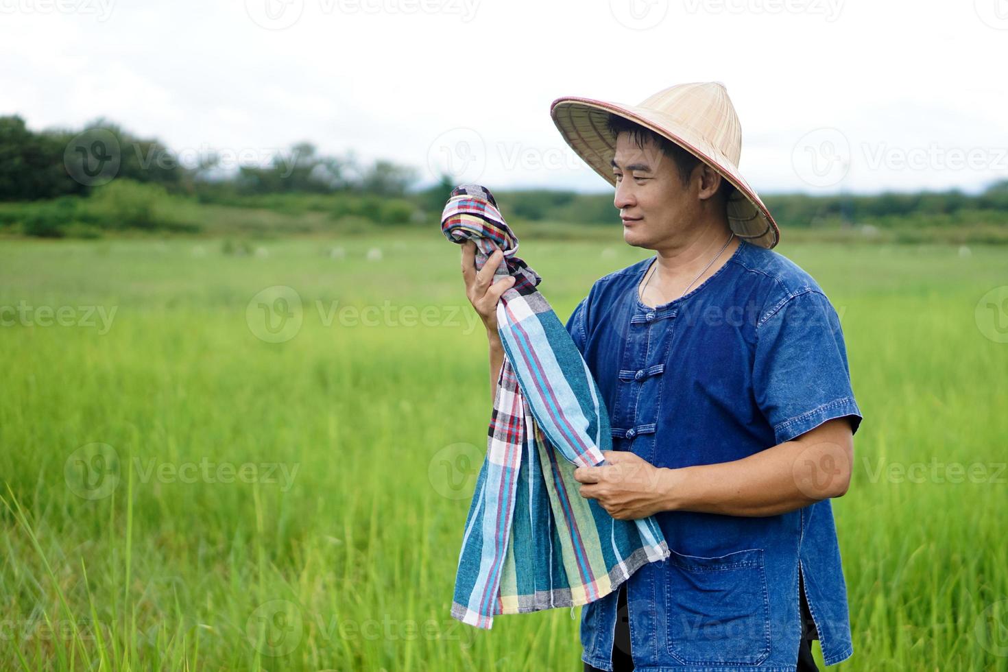 beau fermier asiatique est à la rizière, porte un chapeau, une chemise bleue, utilise un pagne thaïlandais pour essuyer son visage. concept, profession agricole. travailler dur mais heureux. l'agriculture biologique. photo