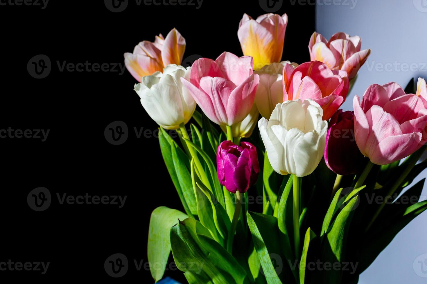 bouquet de tulipes fraîches photo