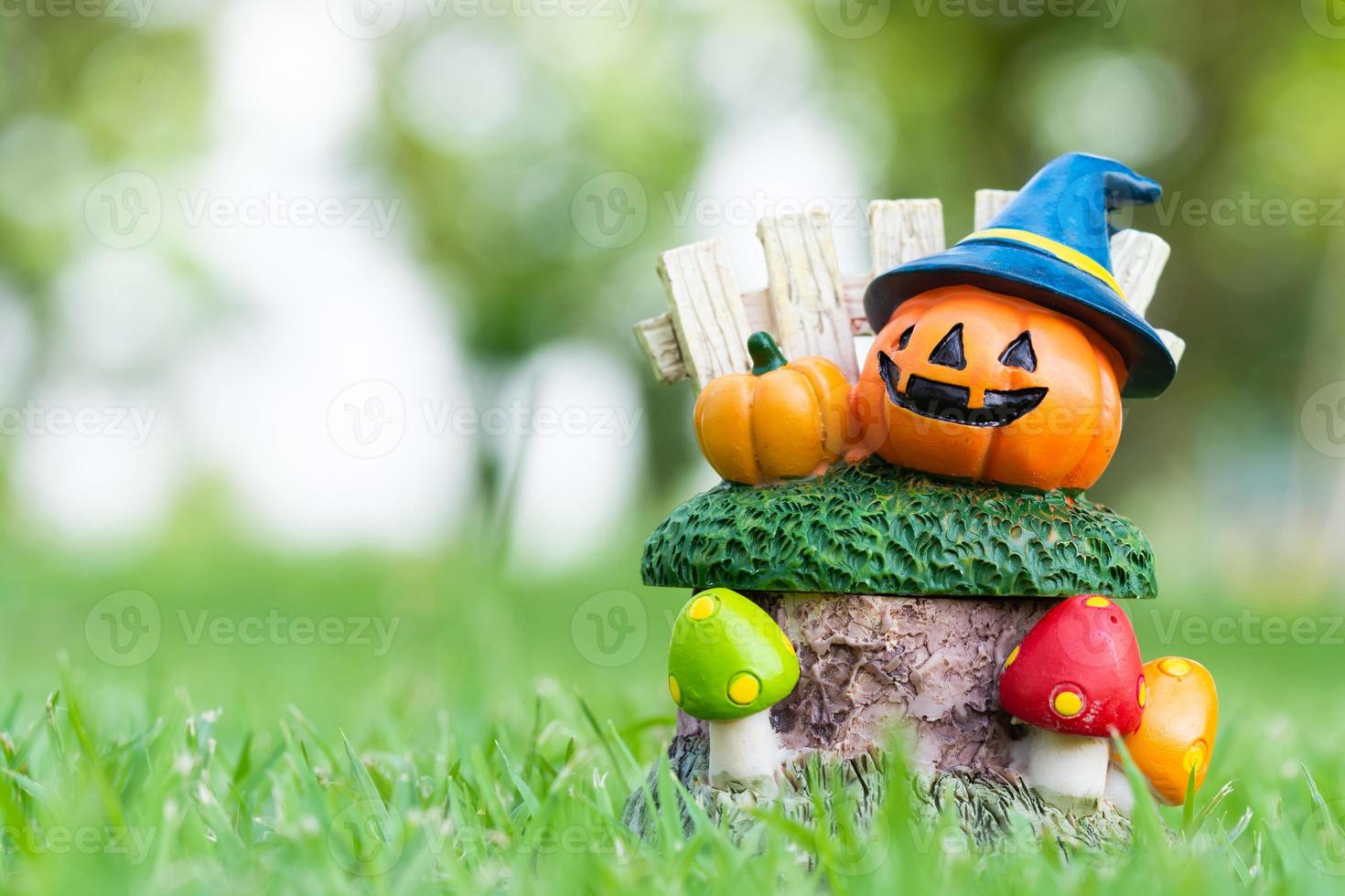 citrouille d'halloween dans le fond de la nature verte du jardin photo