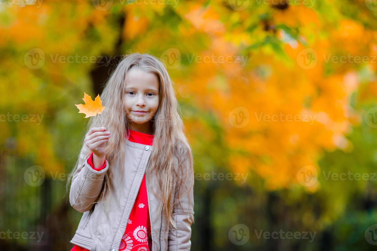 portrait d'une adorable petite fille à l'extérieur lors d'une belle journée d'automne photo