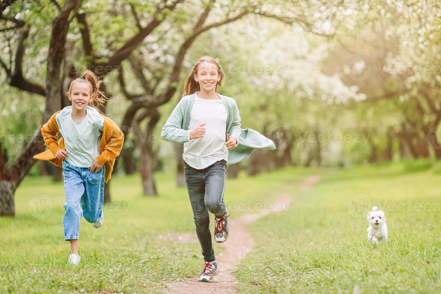 petites filles souriantes jouant avec un chiot dans le parc photo