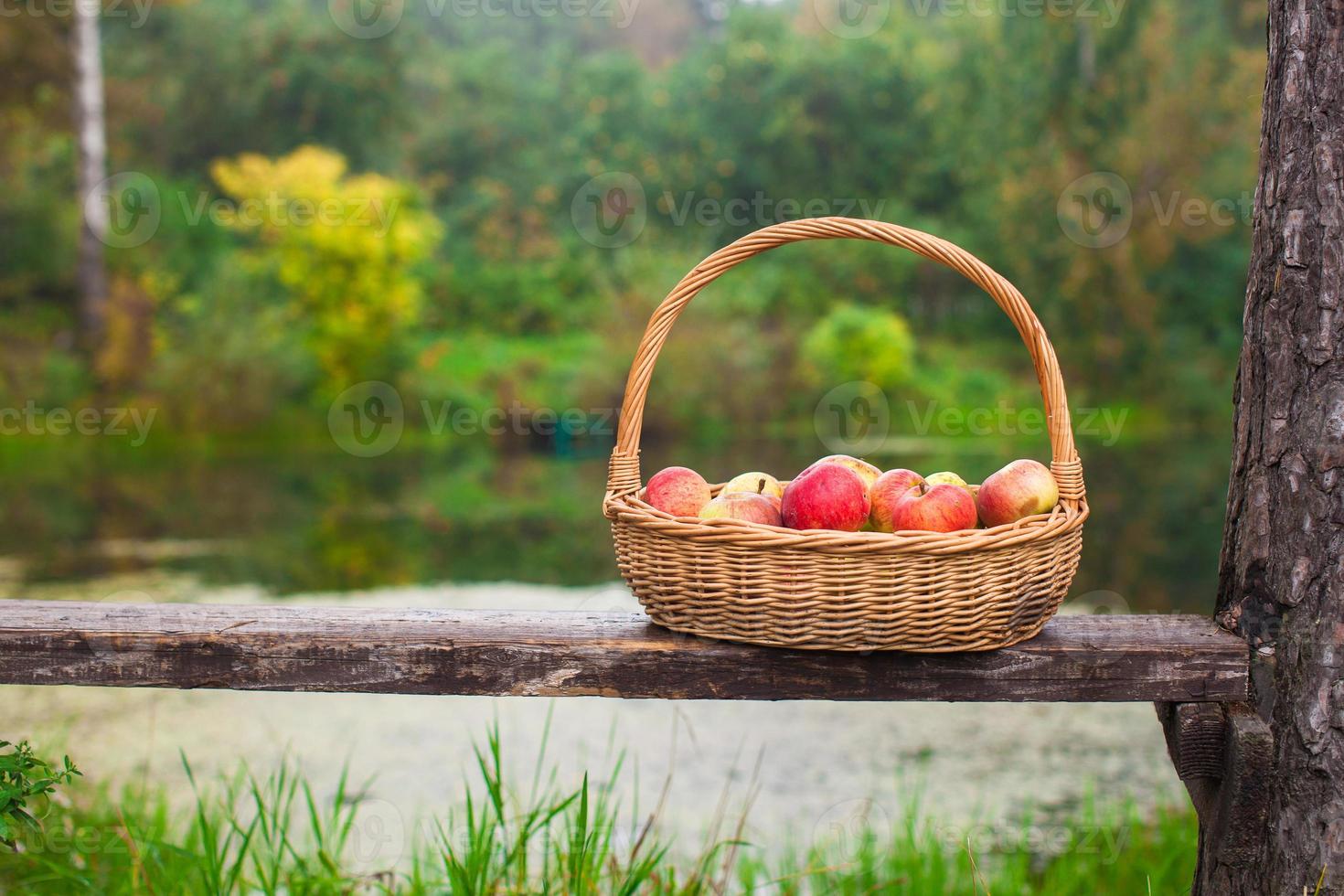 grand panier de paille avec des pommes rouges et jaunes sur un banc au bord du lac photo