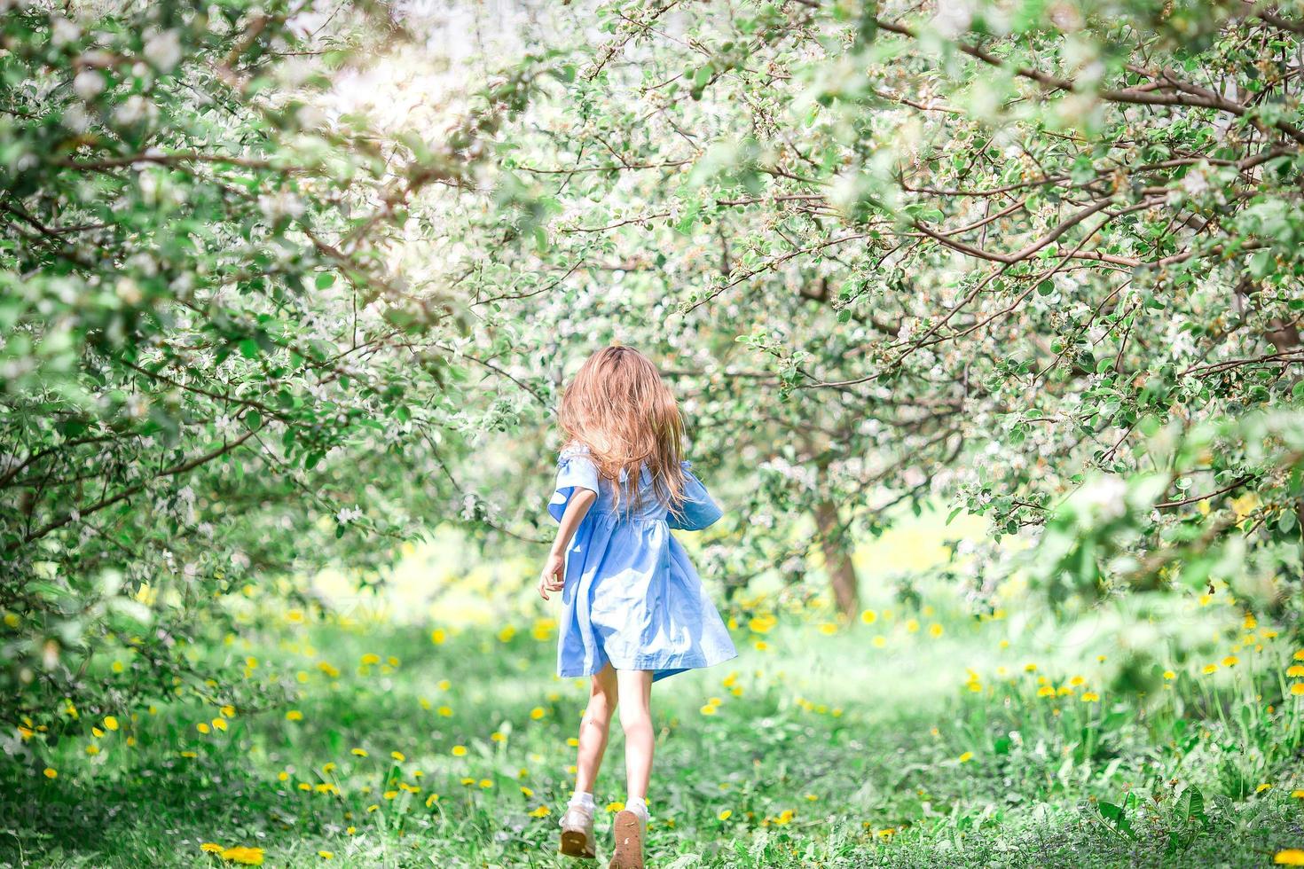 adorable petite fille dans un jardin de pommiers en fleurs le beau jour du printemps photo