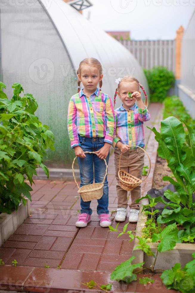 petites filles adorables avec le panier de récolte dans une serre photo