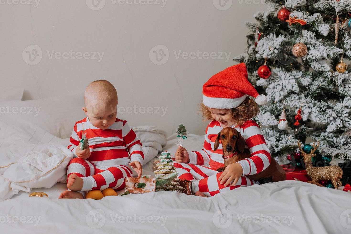 les enfants en pyjama rouge et blanc mangent des bonbons de noël assis dans leur lit. frère et sœur, garçon et fille partagent des cadeaux. Matin de noël. mode de vie. espace pour le texte. photo de haute qualité