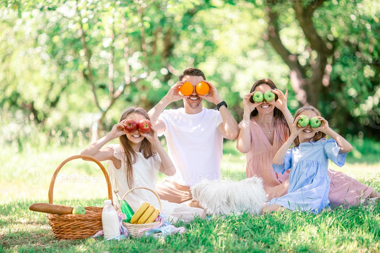 famille heureuse sur un pique-nique dans le parc par une journée ensoleillée photo
