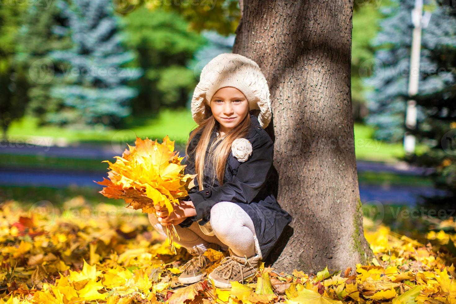 jolie fille de mode assise sous un arbre avec un bouquet de feuilles d'érable aux beaux jours d'automne photo