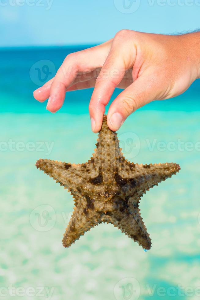 sable blanc tropical avec des étoiles de mer dans les mains fond la mer photo