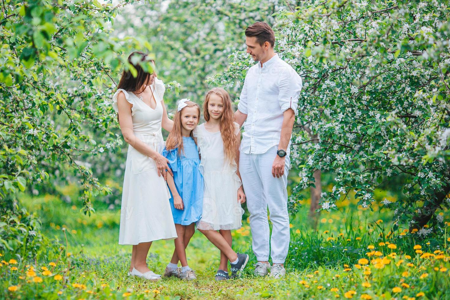adorable famille dans un jardin de cerisiers en fleurs le beau jour du printemps photo