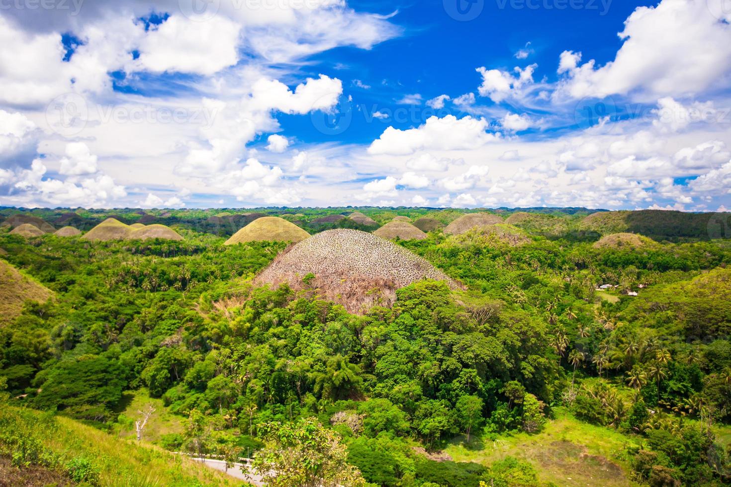 collines de chocolat vertes inhabituelles à bohol, philippines photo