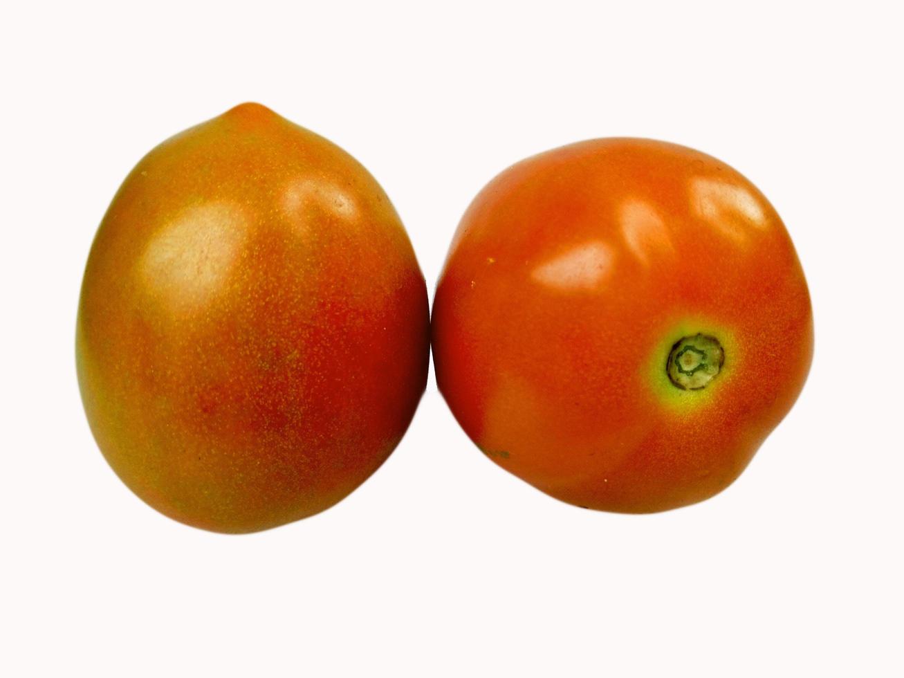 tomates isolés sur fond blanc. photo