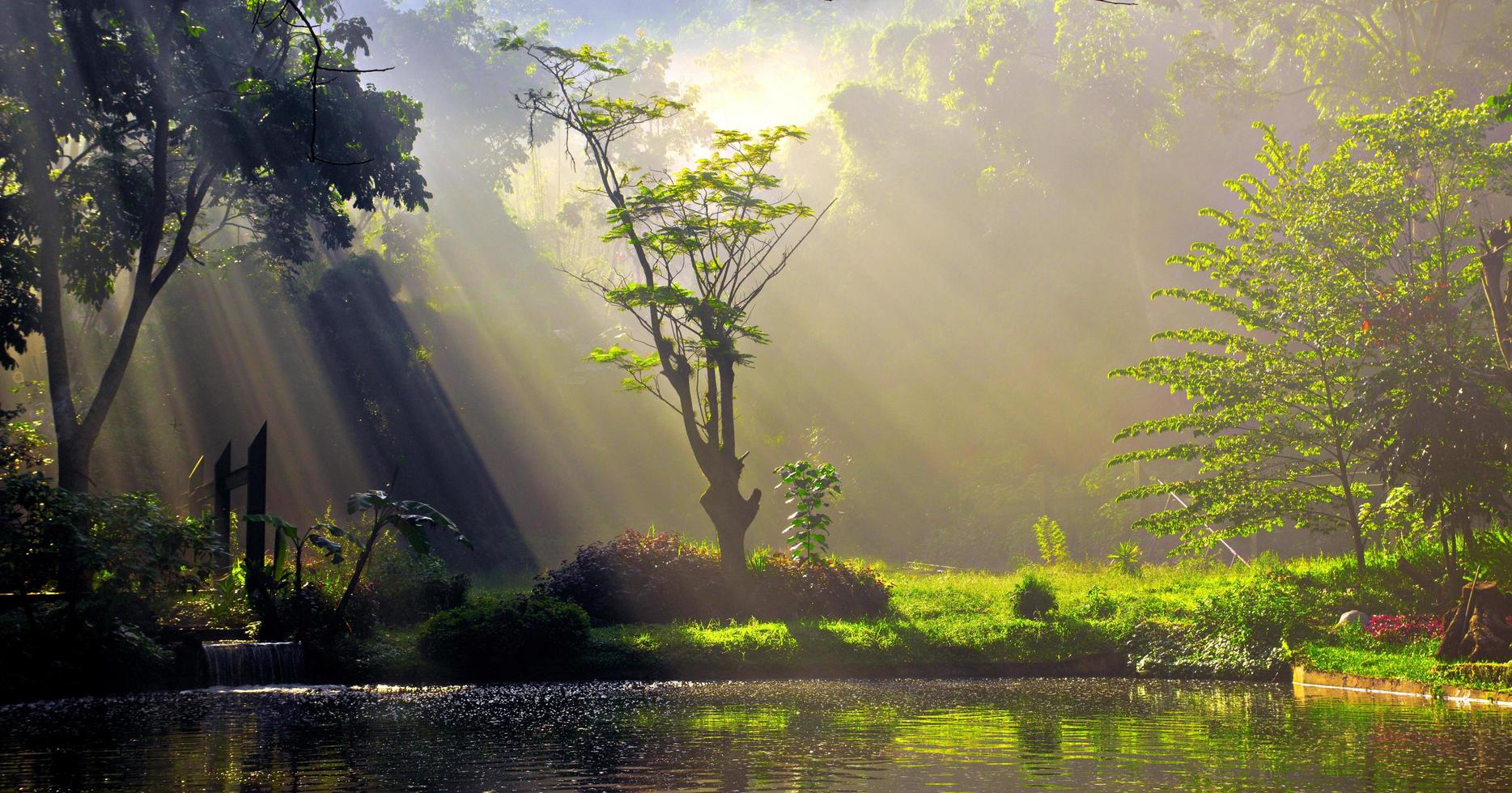 rayons de soleil ensoleillés sur un lac photo