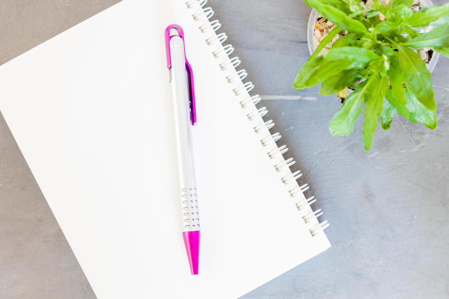 cahier avec un stylo et une plante photo