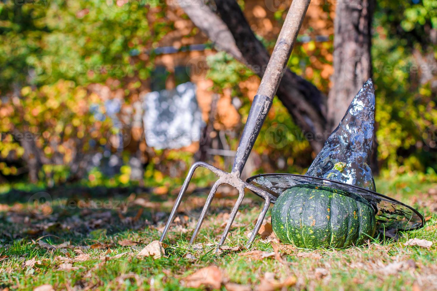 vue sur les citrouilles d'halloween, le chapeau de sorcière et le râteau à l'extérieur photo