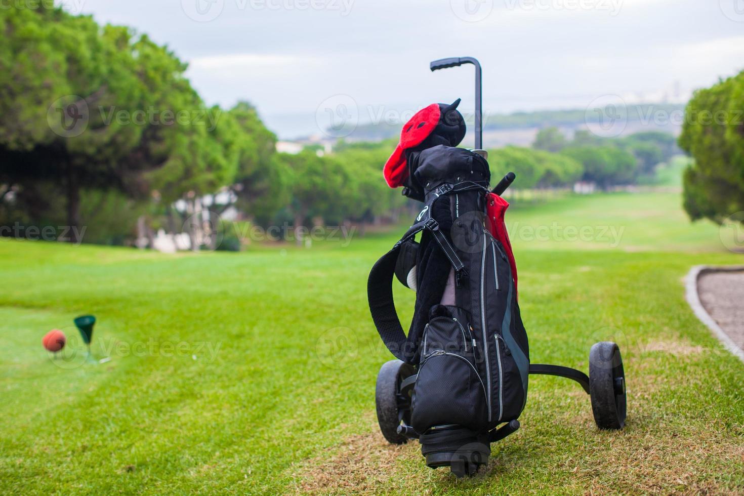 gros plan du sac de golf sur un terrain vert parfait photo