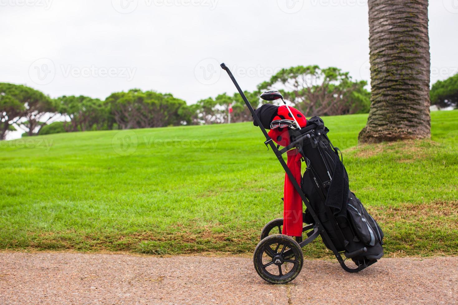 gros plan du sac de golf sur un terrain vert parfait photo