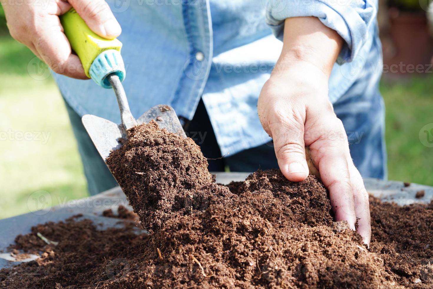 mousse de tourbe, sol fertilisant pour l'agriculture biologique, culture de plantes, concept écologique. photo