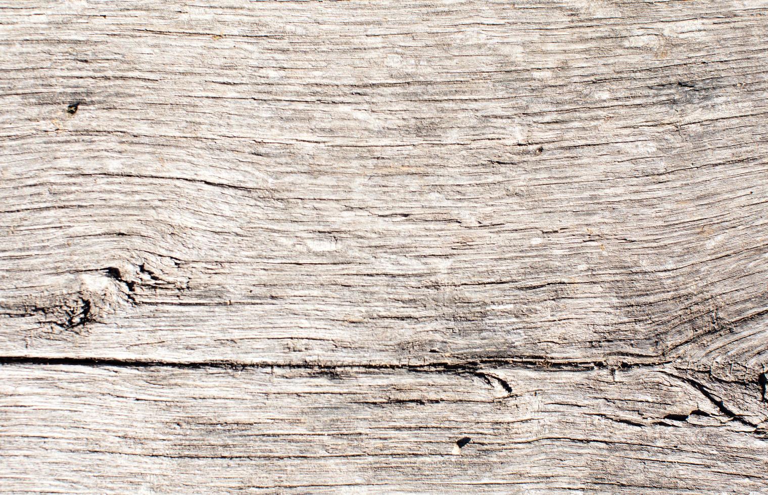 texture de grain de bois photo