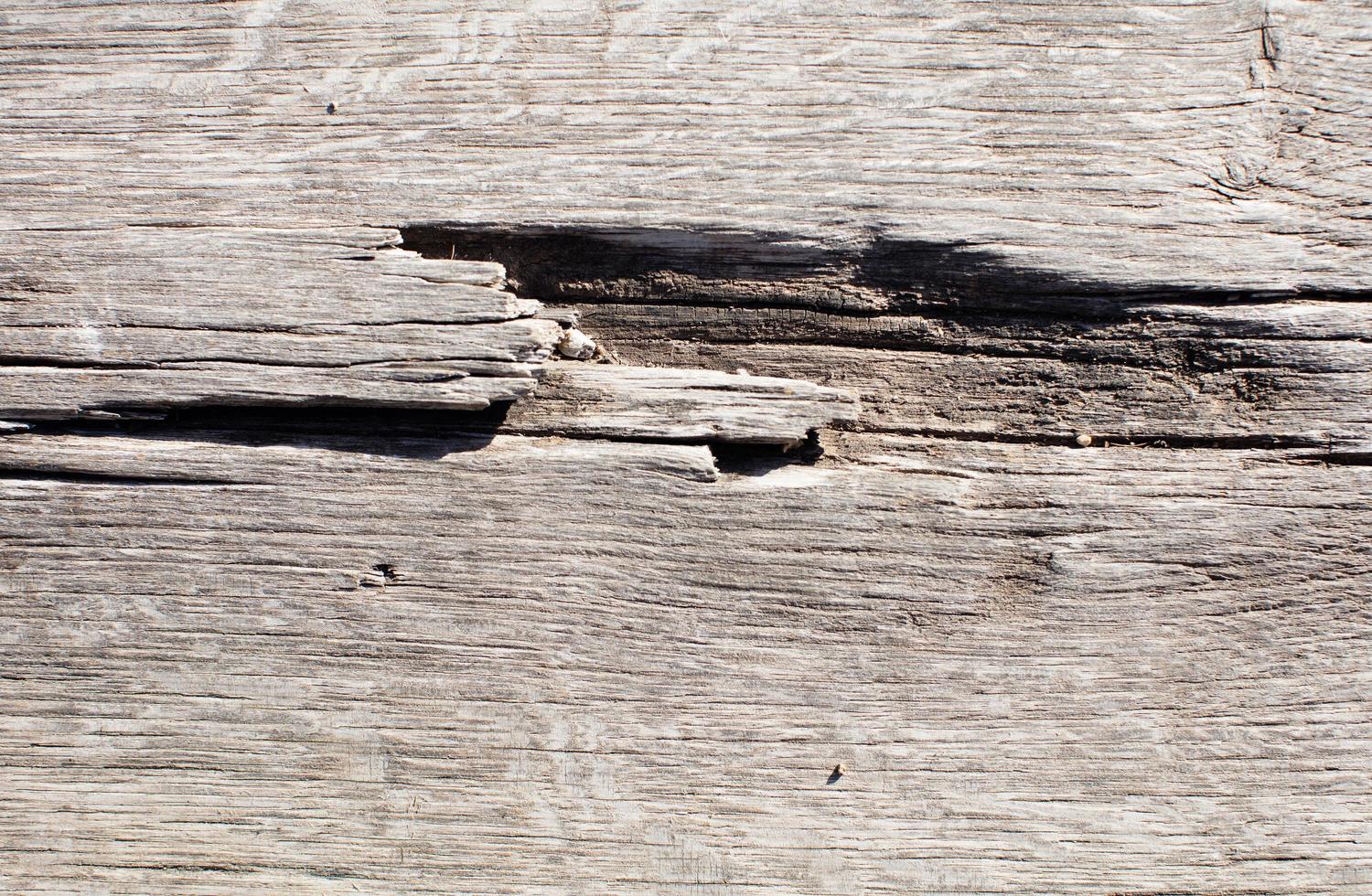 texture de grain de bois photo