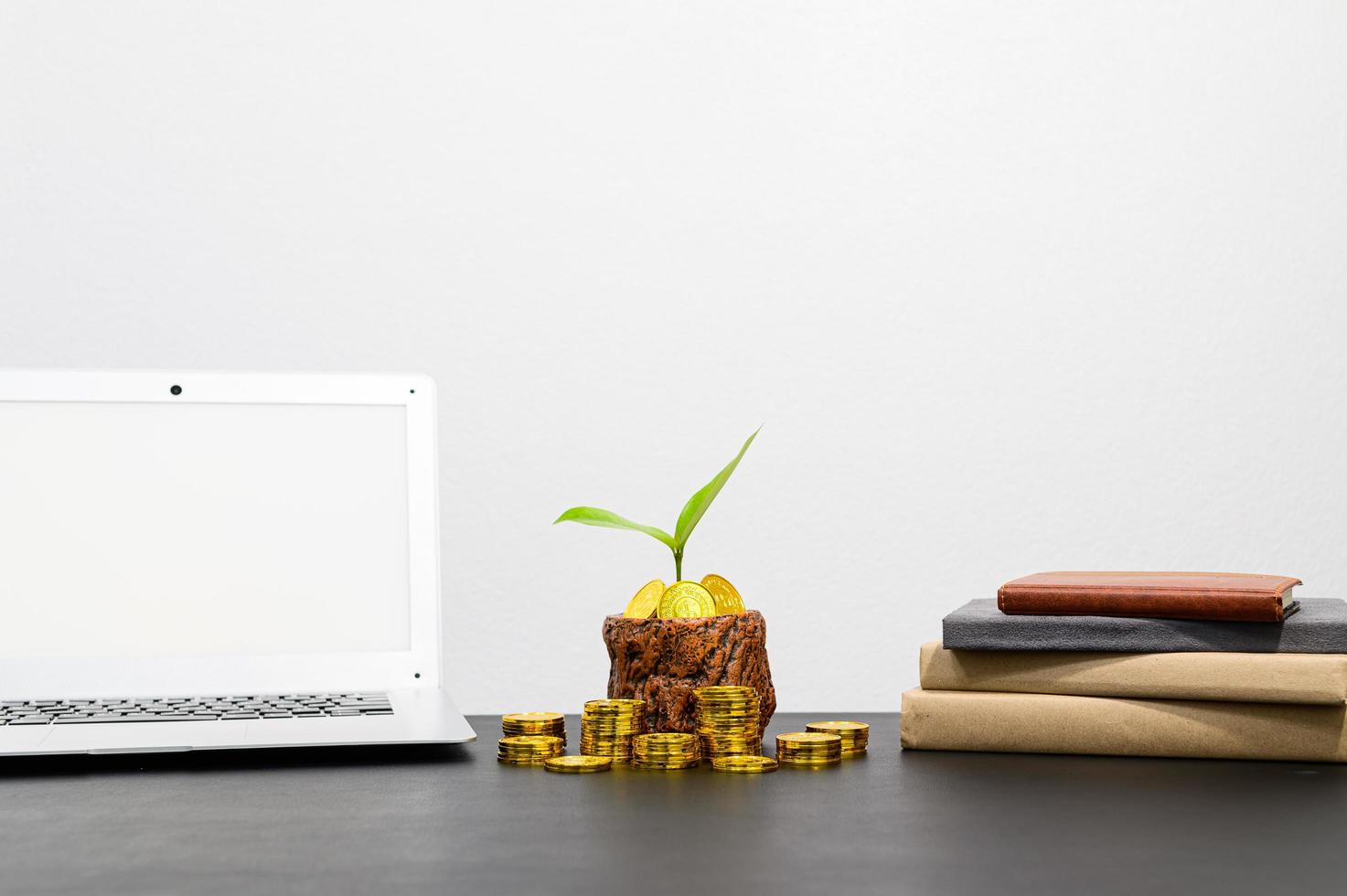 concept de croissance financière avec des pièces photo