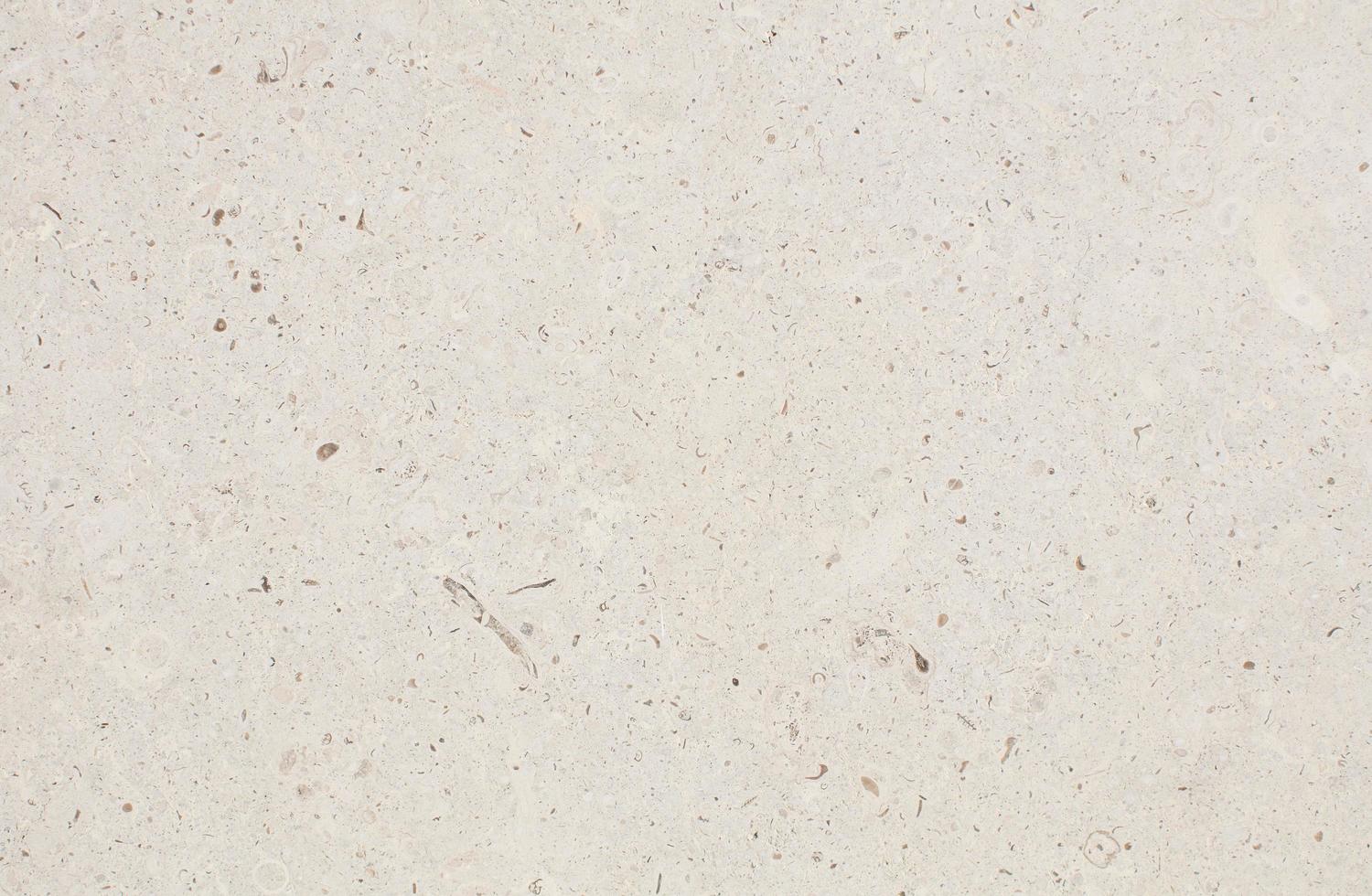 texture de mur propre beige photo