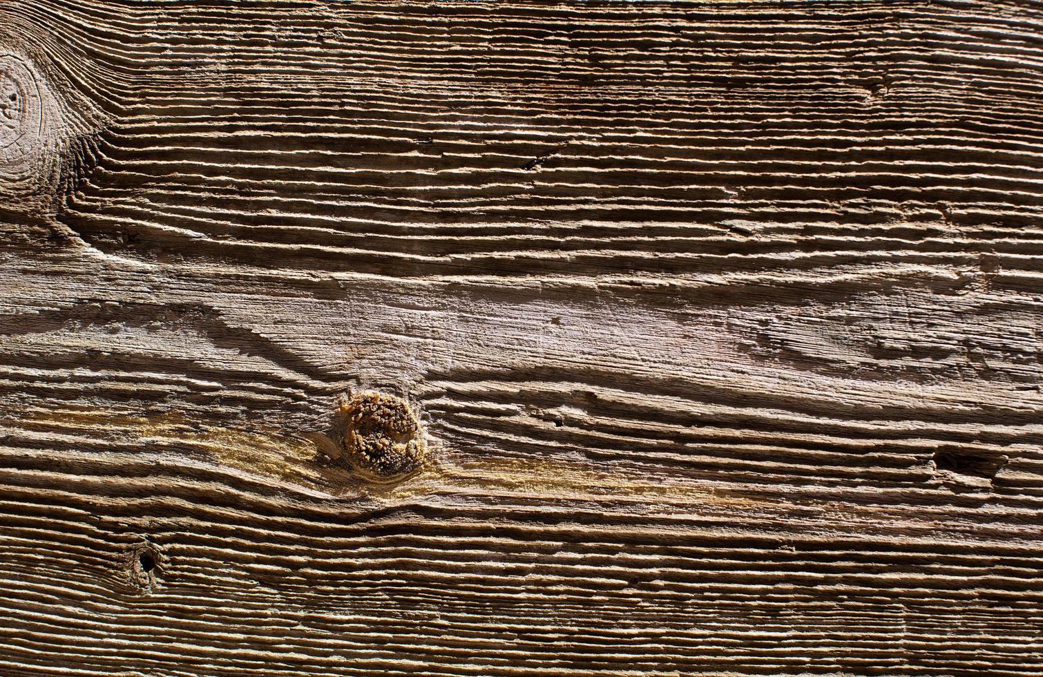 texture de grain de bois photo