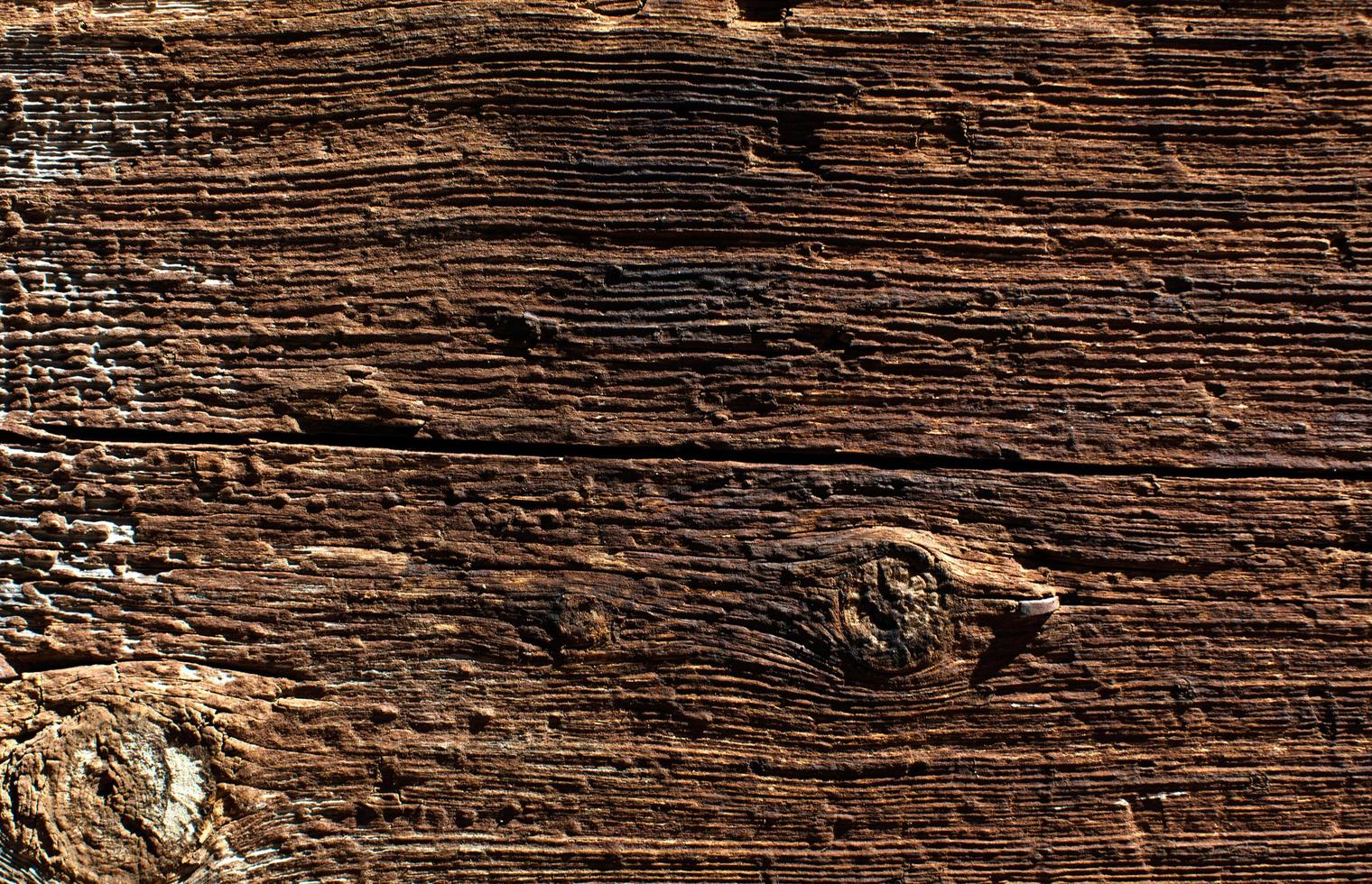 texture de grain de bois photo