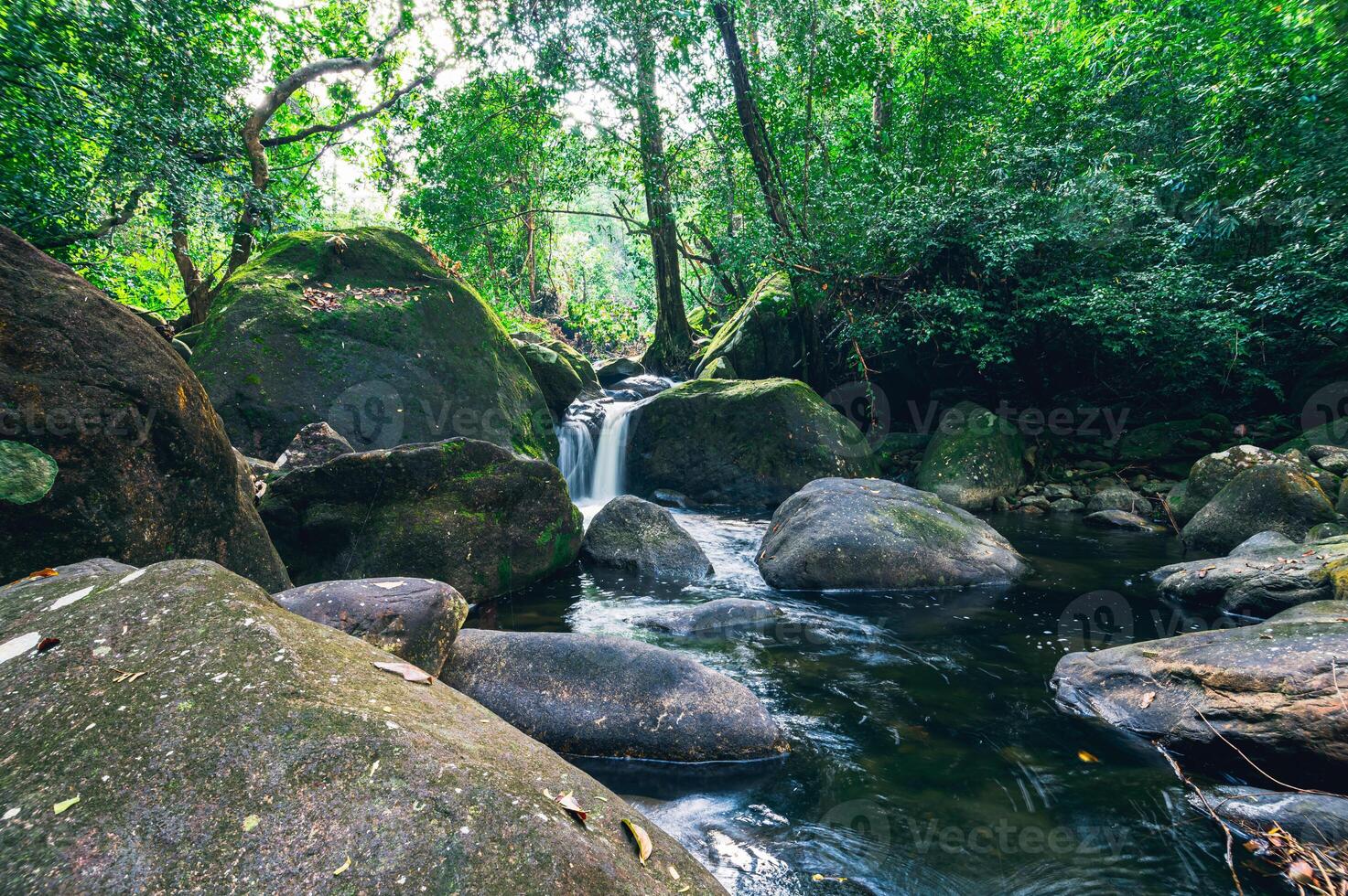 Paysage dans le parc national de la cascade de khao chamao photo