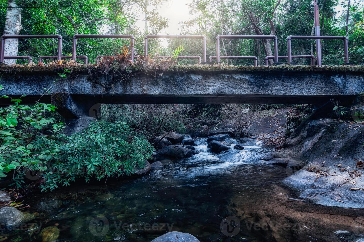 Pont dans le parc national de la cascade de khao chamao photo