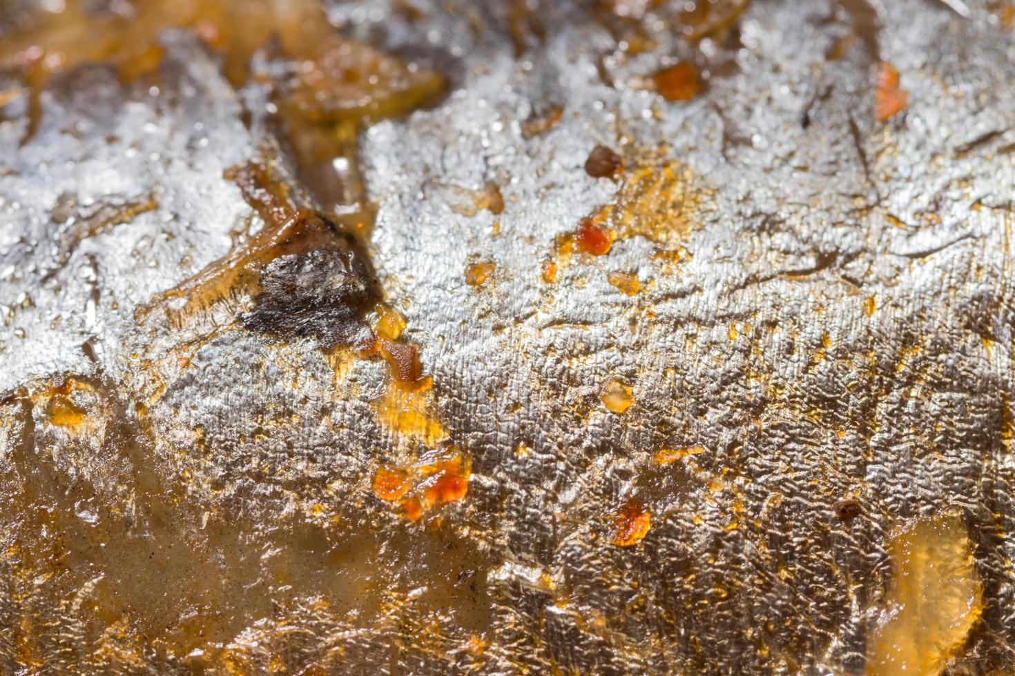 texture de peau de poisson photo