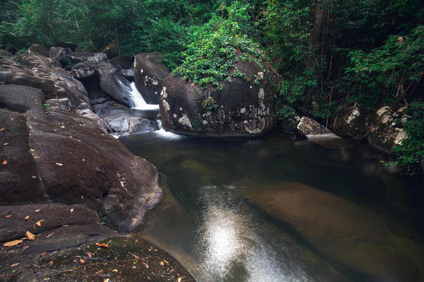 Rivière dans le parc national de la cascade de khao chamao photo