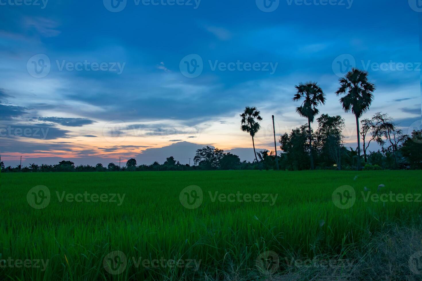 coucher de soleil sur le terrain photo