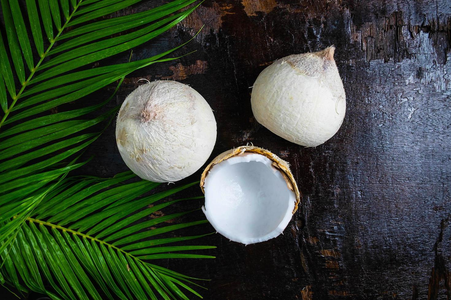 noix de coco et feuilles de palmier sur une table en bois photo