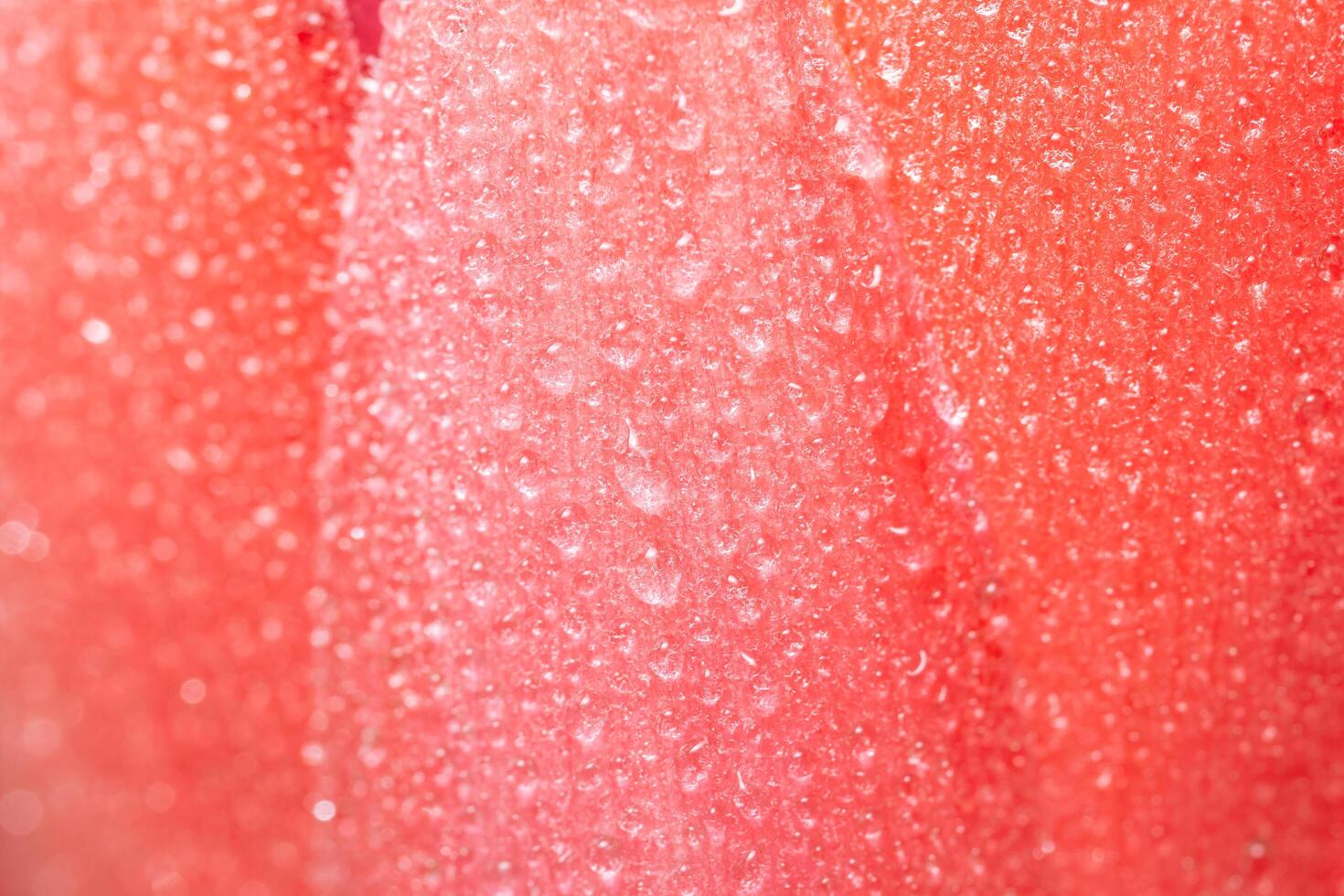 gouttes d'eau sur les pétales de fleurs photo