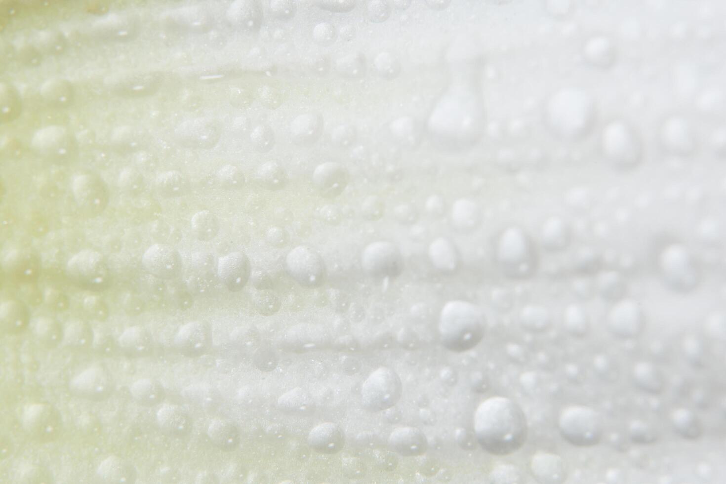 gouttes d'eau sur les pétales de fleurs photo