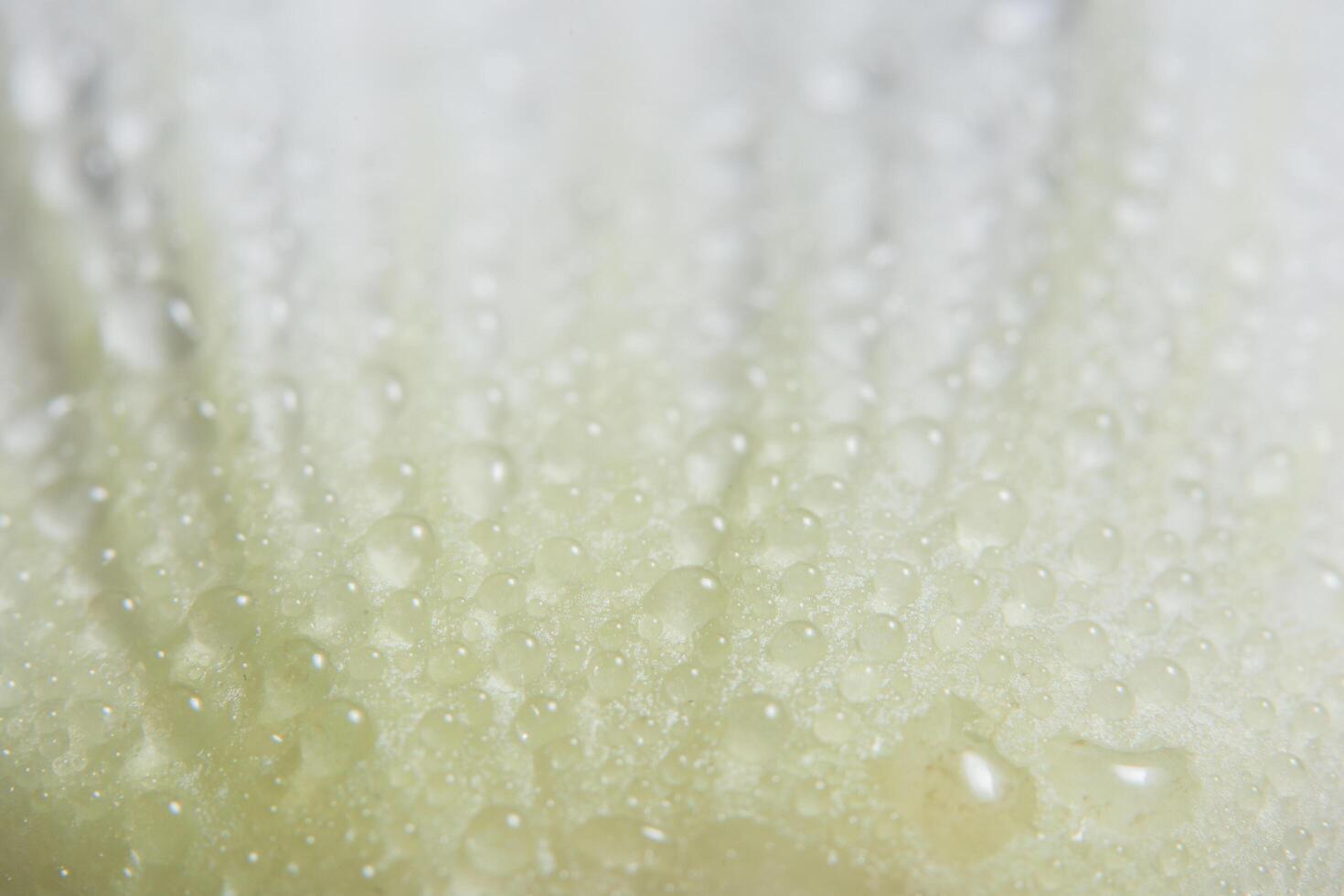 gouttes d'eau sur les pétales de fleurs photo