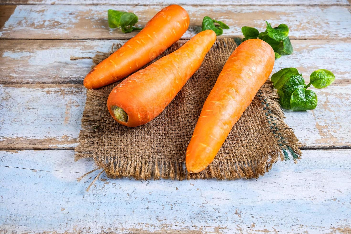 carottes sur tissu photo