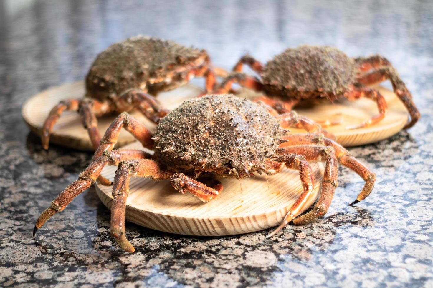 crabes sur des assiettes en bois photo