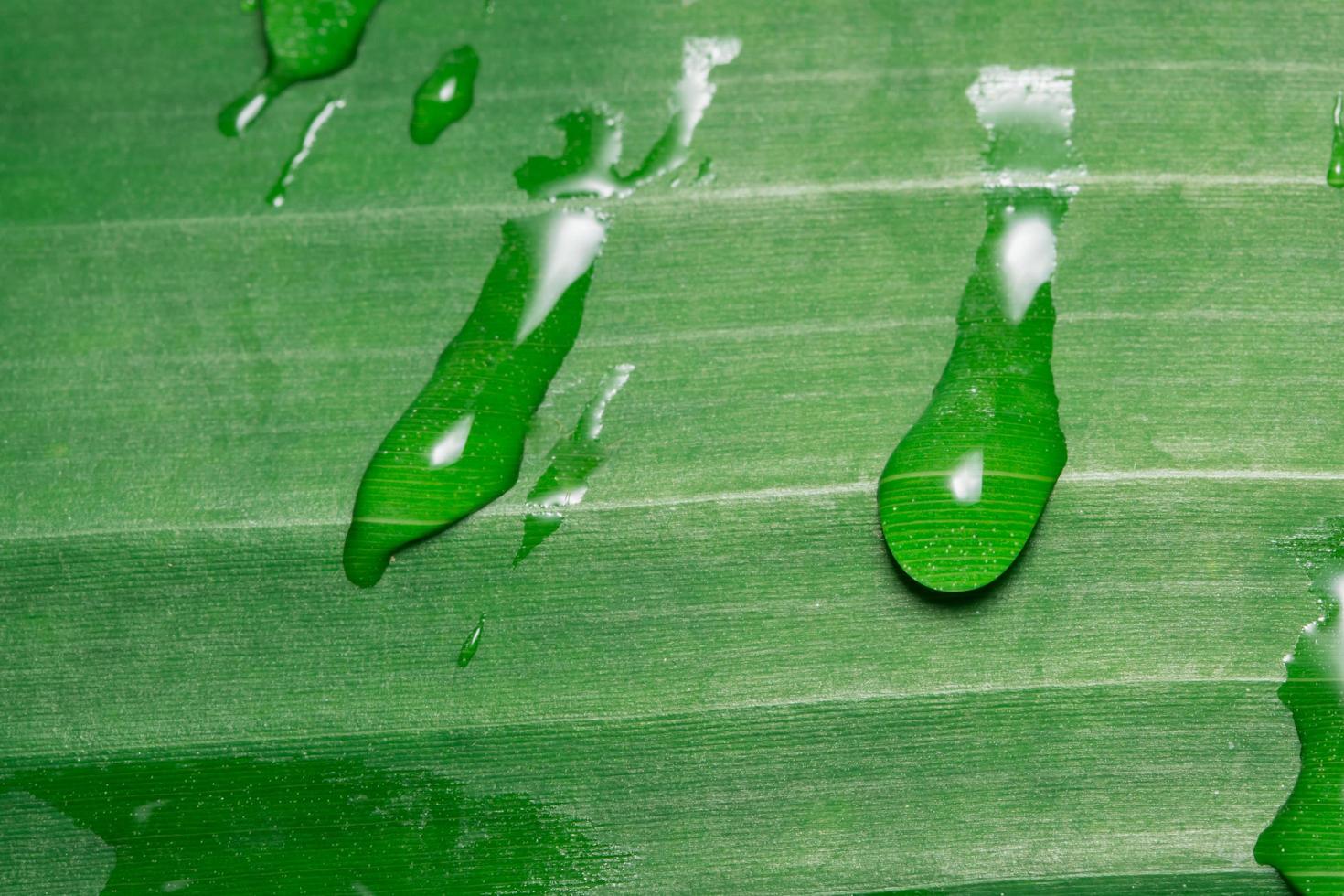 gouttes d'eau sur une feuille photo