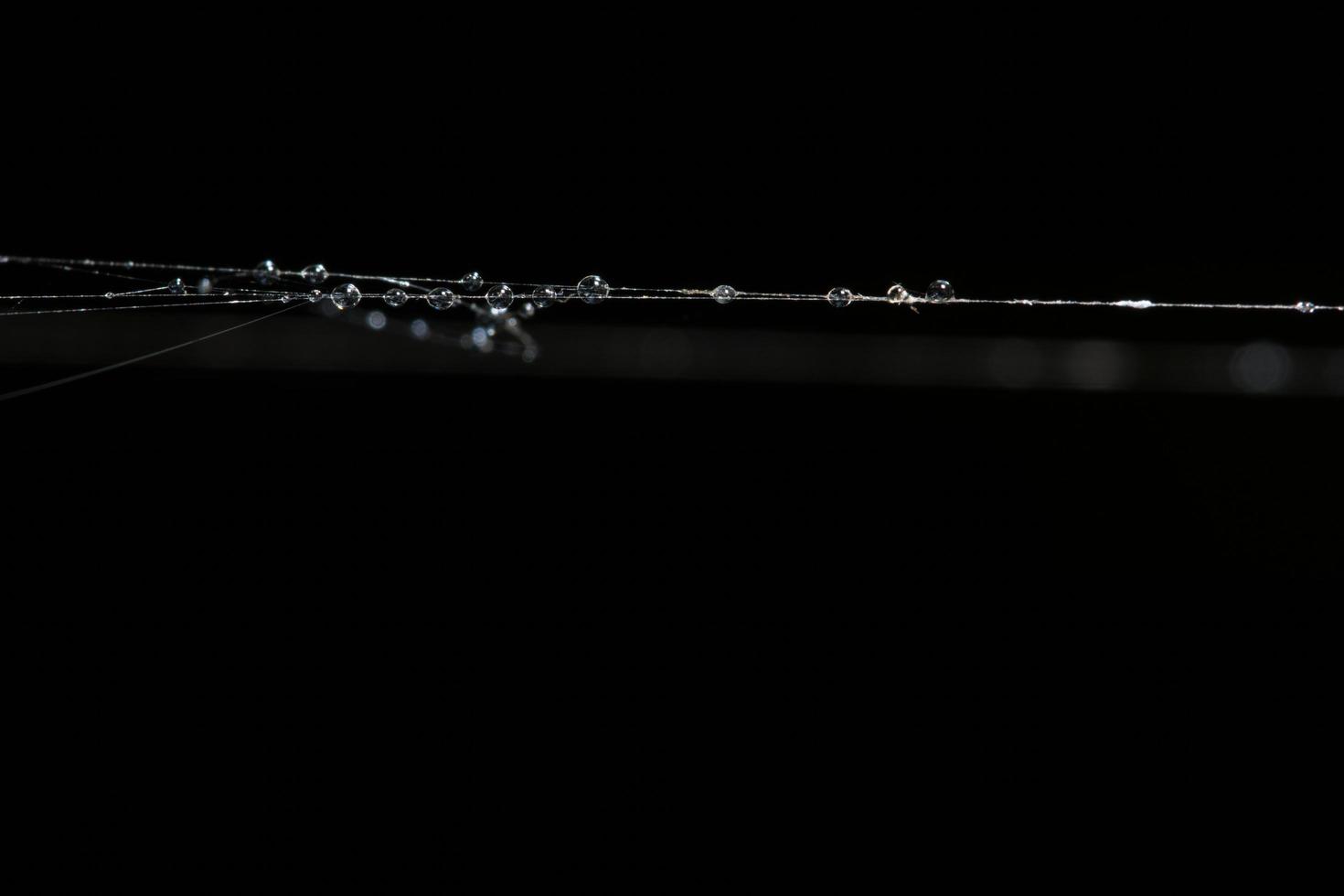 gouttes d'eau sur la toile d'araignée, gros plan photo