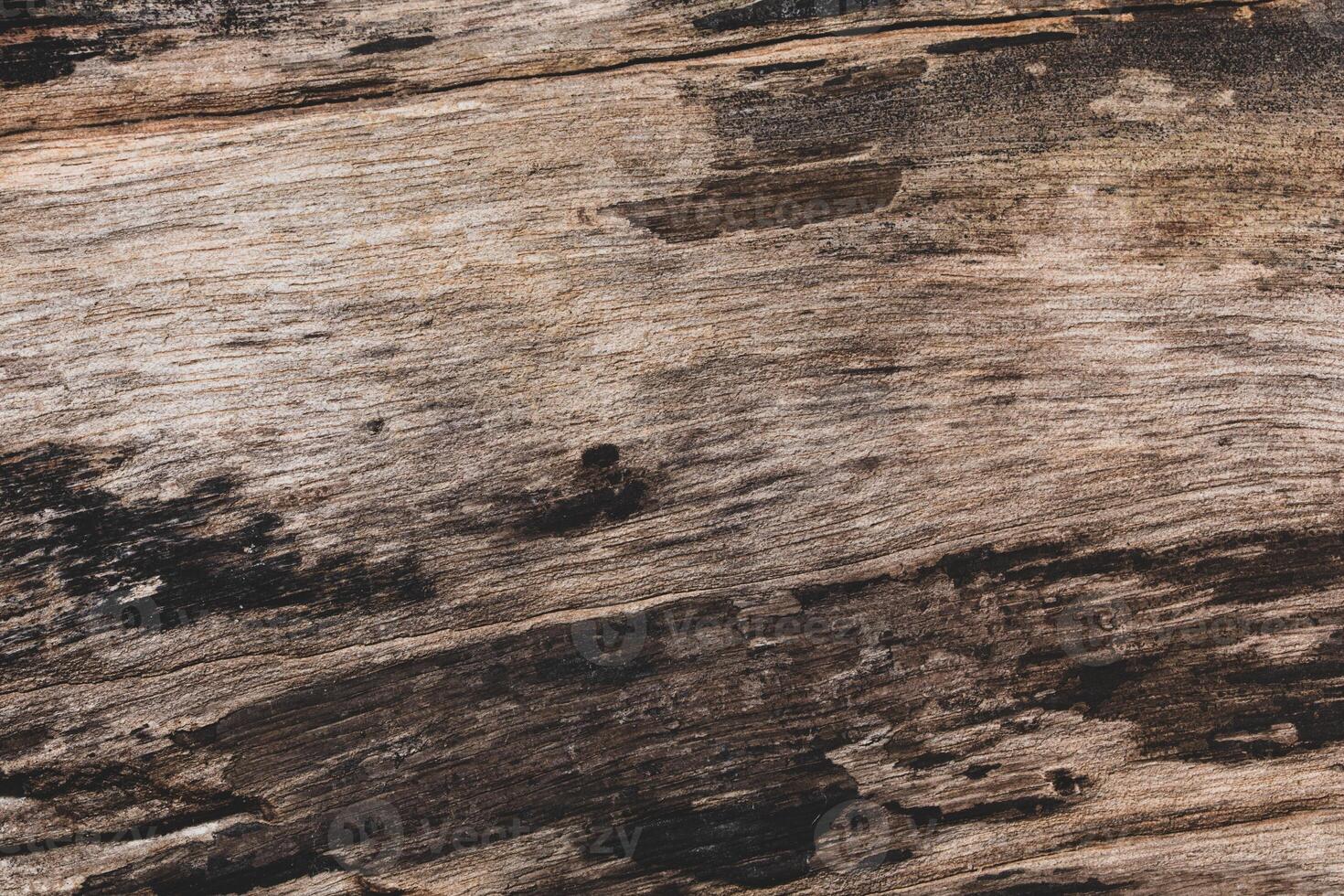 fond de plancher en bois foncé photo