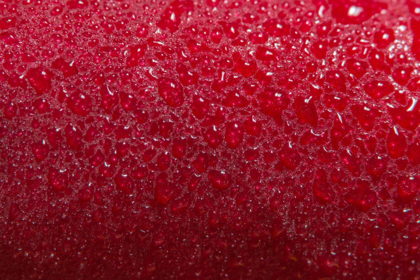 gouttes d'eau sur une rose rouge photo