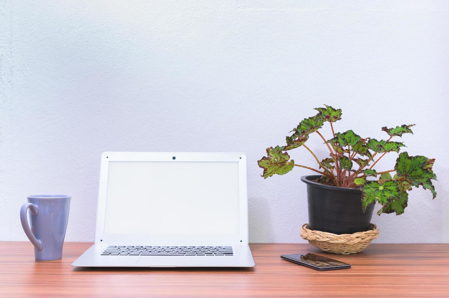 ordinateur portable et fleur sur le bureau photo
