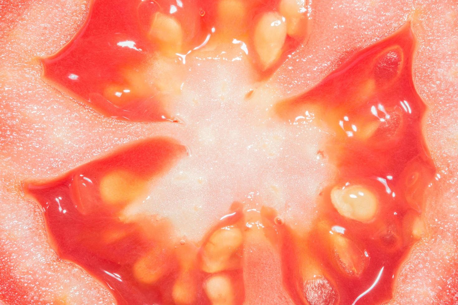 fond de macro de tomate photo