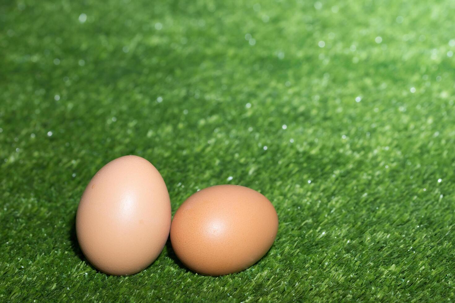 oeufs de poule sur fond vert photo